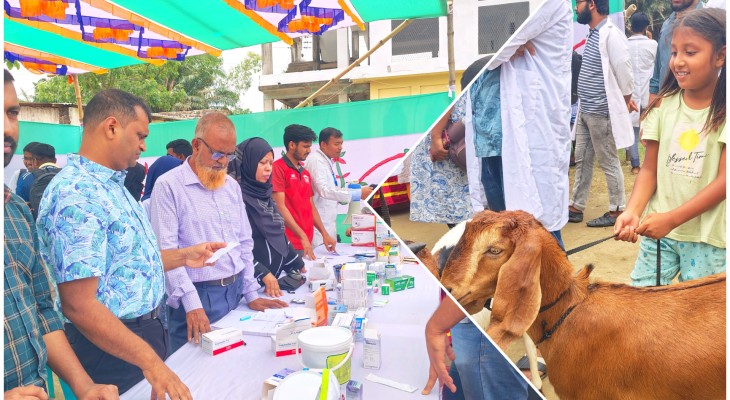 গবির ভেটেরিনারি ক্যাম্পে ১০১২ প্রাণীর চিকিৎসা